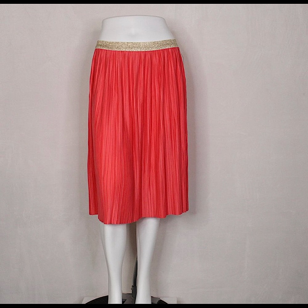 NWT Coral Pleated Accordion Midi Skirt